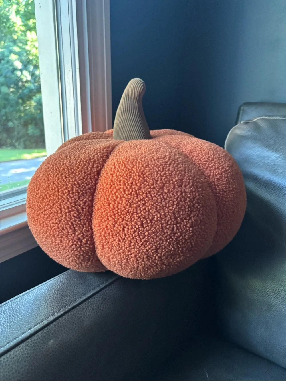 Costco Kirkland Orange Jack-O'-Lantern Halloween Pumpkin Pillow 2025